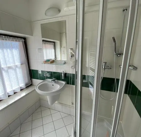 スタンダードルーム, Zámecký Hotel Zlatý Orel