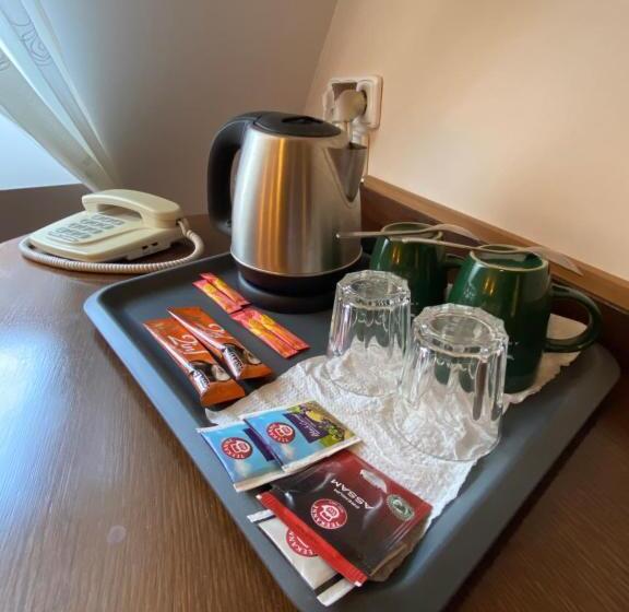 スタンダードシングルルーム, Zámecký Hotel Zlatý Orel