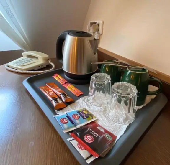 スタンダードシングルルーム, Zámecký Hotel Zlatý Orel