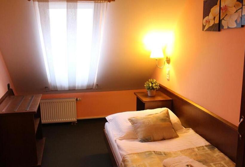 スタンダードシングルルーム, Zámecký Hotel Zlatý Orel