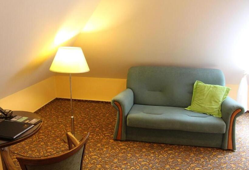 １ベッドルームアパートメント, Zámecký Hotel Zlatý Orel
