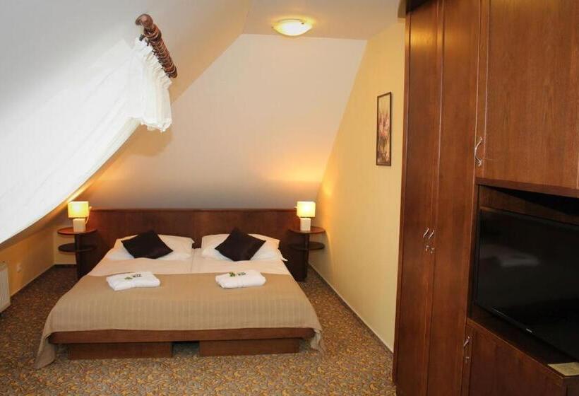 آپارتمان 1 خوابه, Zámecký Hotel Zlatý Orel