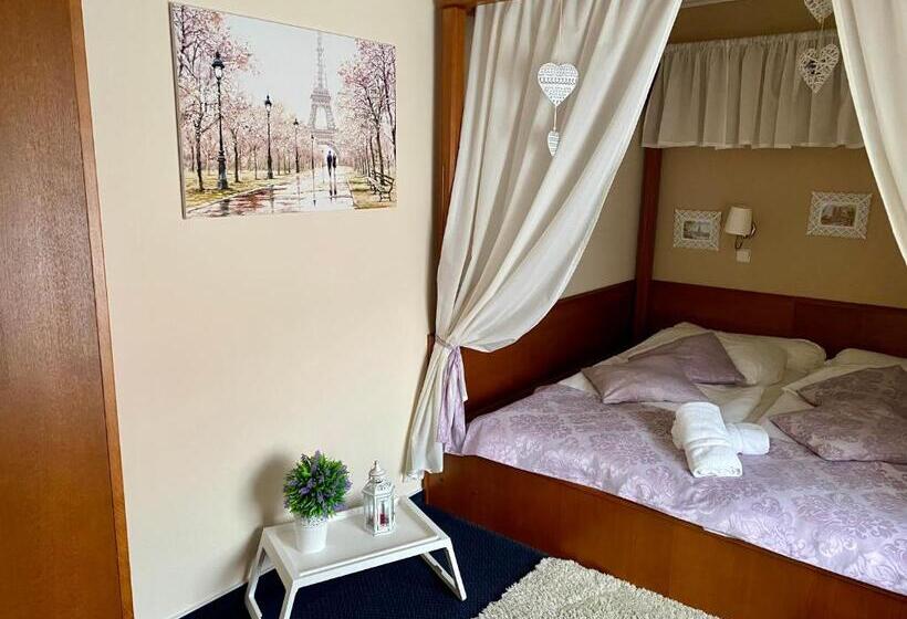اتاق استاندارد با تخت بزرگ, Zámecký Hotel Zlatý Orel