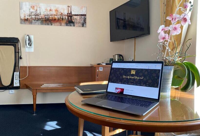 اتاق لوکس با چشم‌انداز, Zámecký Hotel Zlatý Orel