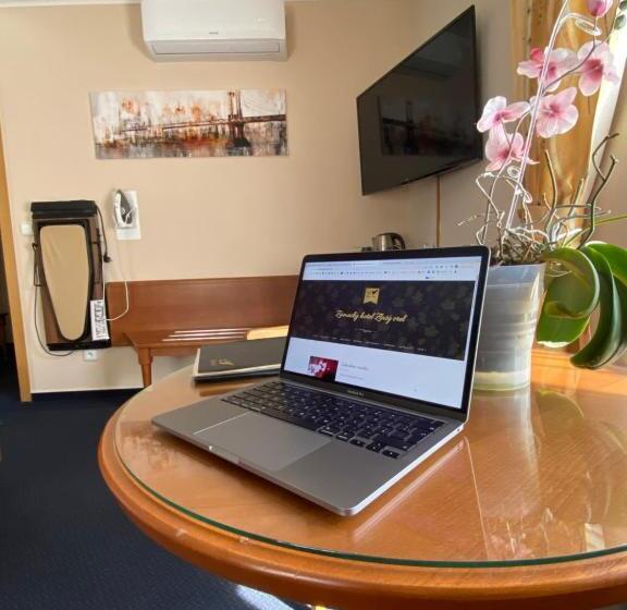 اتاق استاندارد, Zámecký Hotel Zlatý Orel