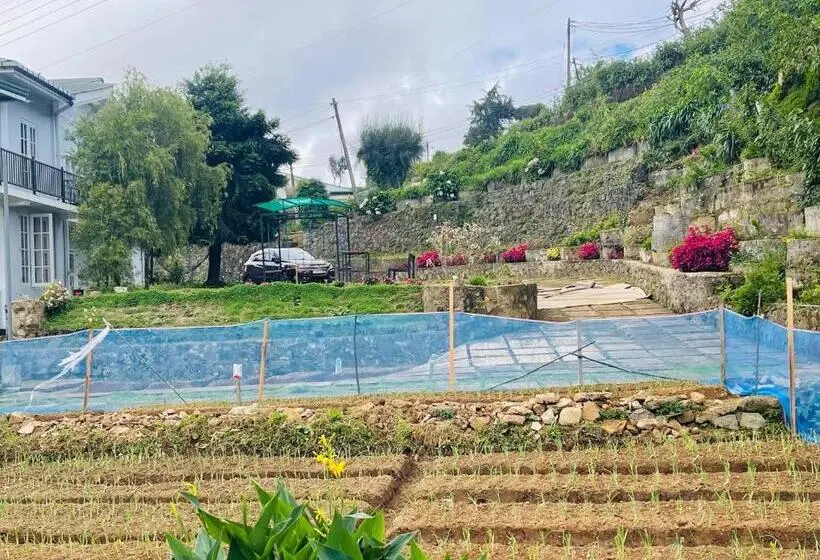 ویلای سوپریور 1 خوابه, Lavender Villas Nuwara Eliya