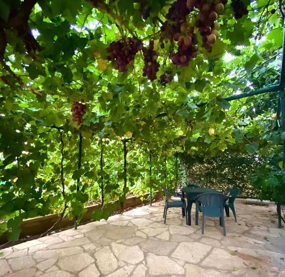 اتاق استاندارد, Villa La Quiete   Adults Only