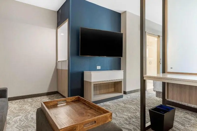 キングサイズベッドのスイートルーム, Springhill Suites Charlotte Southwest