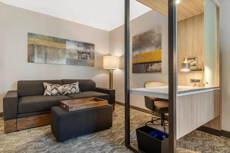 キングサイズベッドのスイートルーム, Springhill Suites Charlotte Southwest