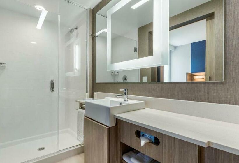 带大床的套房, Springhill Suites Charlotte Southwest