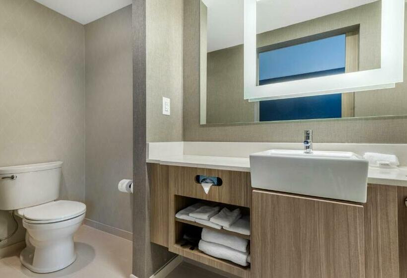 套房, Springhill Suites Charlotte Southwest