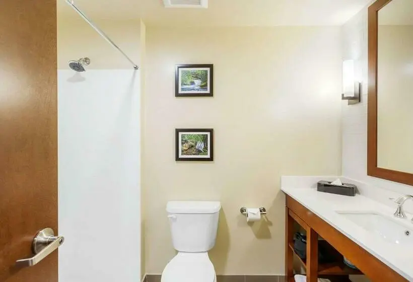 キングサイズベッドのスイートルーム, Comfort Suites Burlington Near I 5