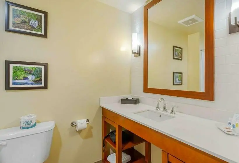スイート, Comfort Suites Burlington Near I 5