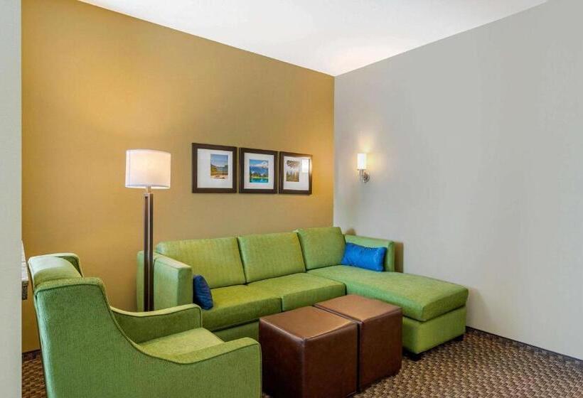 스위트, Comfort Suites Burlington Near I 5