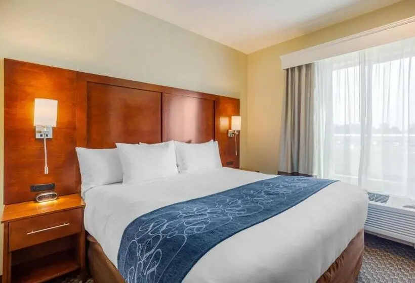 身障者適用スイートルーム, Comfort Suites Burlington Near I 5