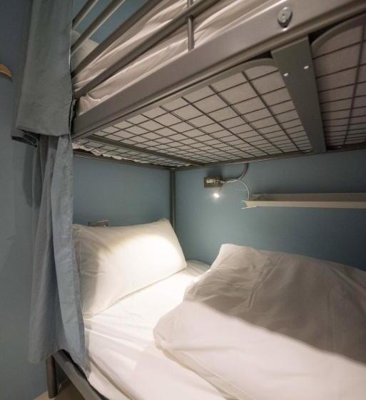 اتاق استاندارد چهار تخته, Deer Traveler Hostel