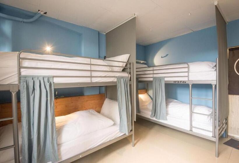 اتاق خانوادگی, Deer Traveler Hostel