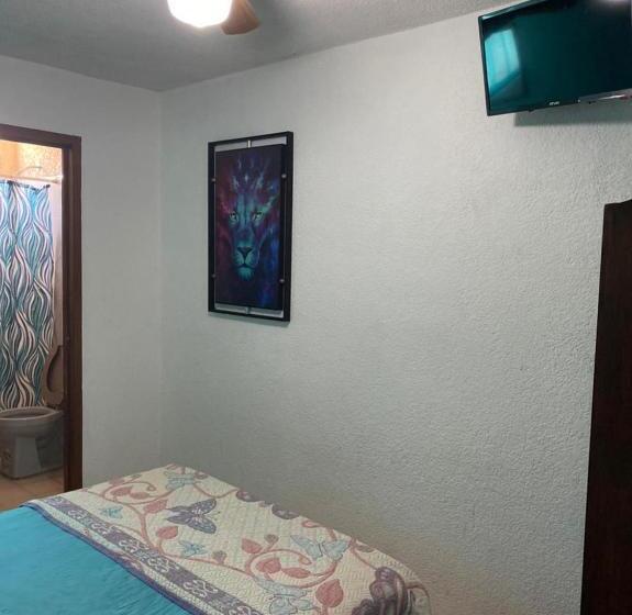 Номер Стандарт, Country