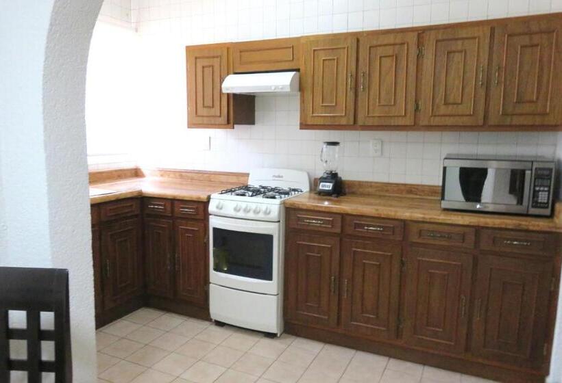 شقة غرفة واحدة, Huizache