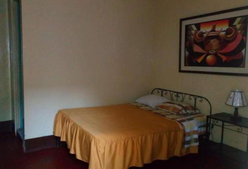 اتاق استاندارد یک نفره, Hostal Virrey & Tours