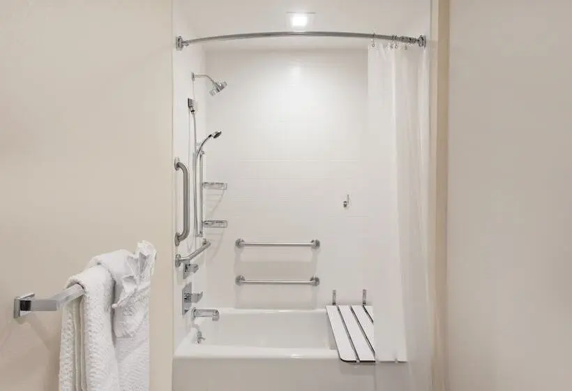 スイート, Springhill Suites By Marriott Escondido Downtown