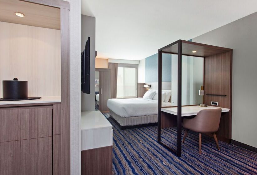 身障者適用スイートルーム, Springhill Suites By Marriott Escondido Downtown