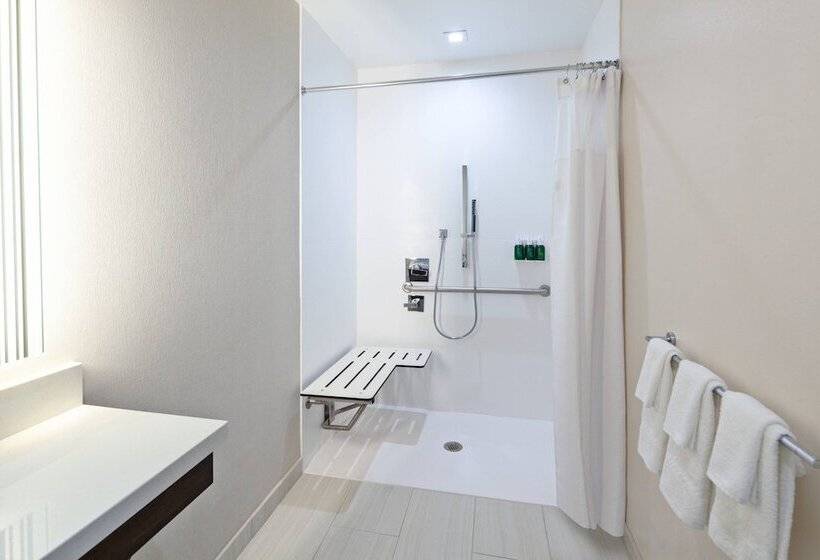 身障者適用スイートルーム, Springhill Suites By Marriott Escondido Downtown