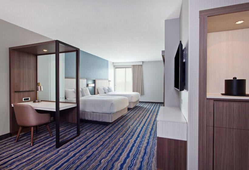 Люкс Адаптированный для Инвалидов, Springhill Suites By Marriott Escondido Downtown