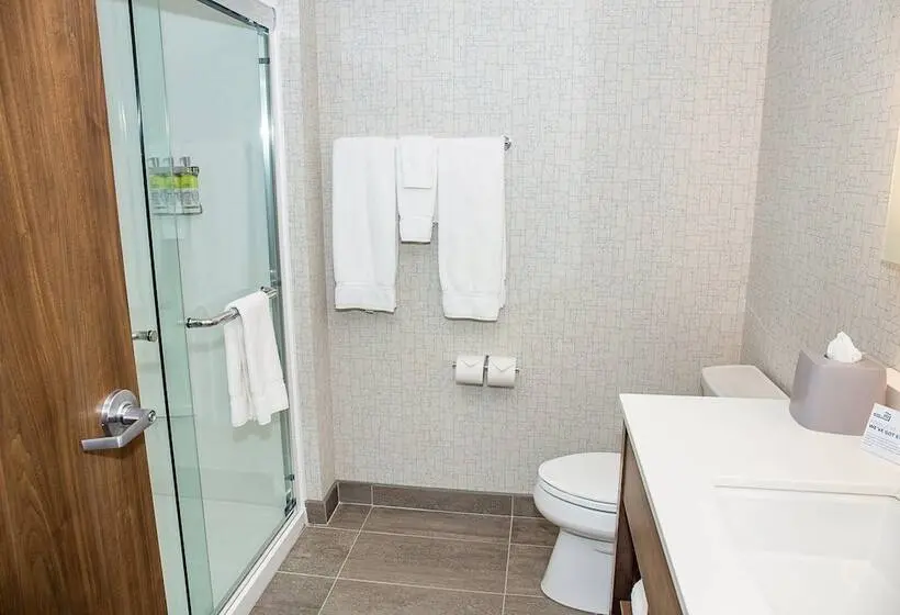 スタンダードルーム, Holiday Inn Express & Suites Halifax – Dartmouth