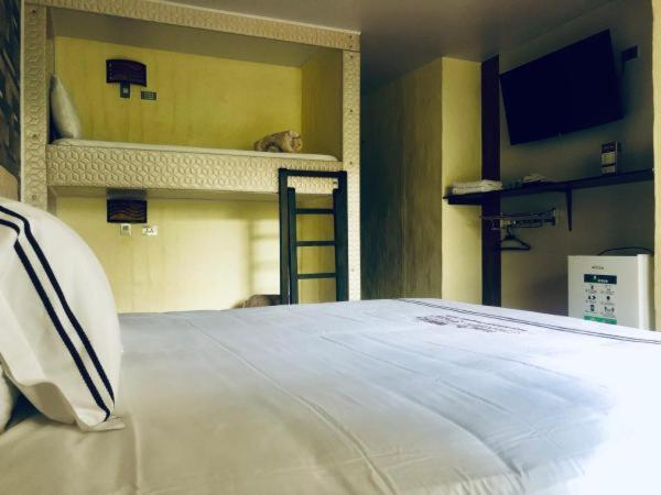 חדר סטנדרט לארבעה, Castillo Resort