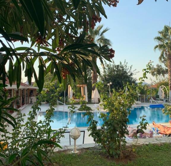 غرفة قياسية مطلّة علي حمام السباحة, Olympos Hotel   Adults Only
