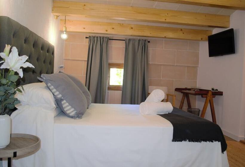 اتاق استاندارد, Ses 5 Claus