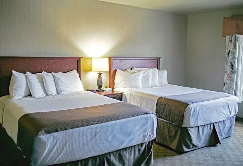 スタンダードルーム, Seaport Inn & Suites