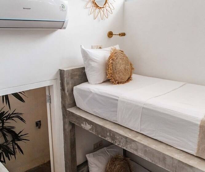 共用房间的床, Dreamsea Canggu   Hostel
