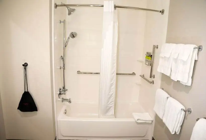 身障者適用スイートルーム, Holiday Inn Express & Suites Wylie West, An Ihg
