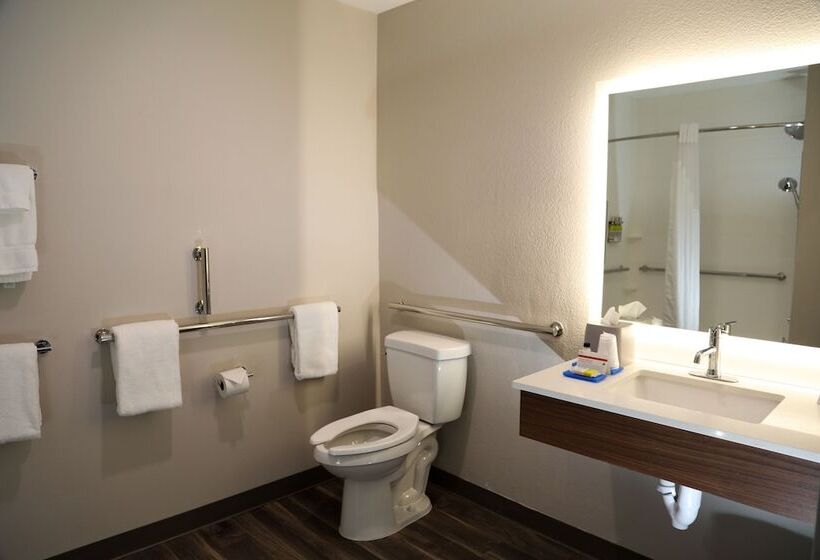 Люкс Адаптированный для Инвалидов, Holiday Inn Express & Suites Wylie West, An Ihg