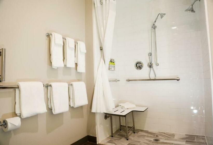 Номер Стандарт Адаптированный для Инвалидов, Holiday Inn Express & Suites   Wylie West, An Ihg