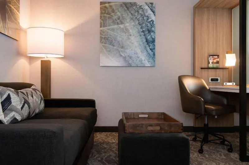 キングサイズベッドのスイートルーム, Springhill Suites By Marriott Elizabethtown