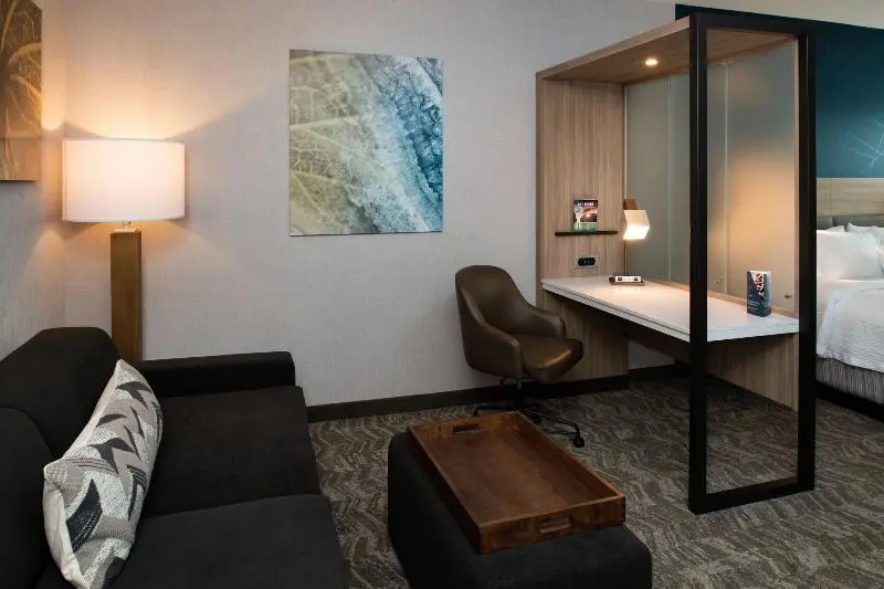 キングサイズベッドのスイートルーム, Springhill Suites By Marriott Elizabethtown