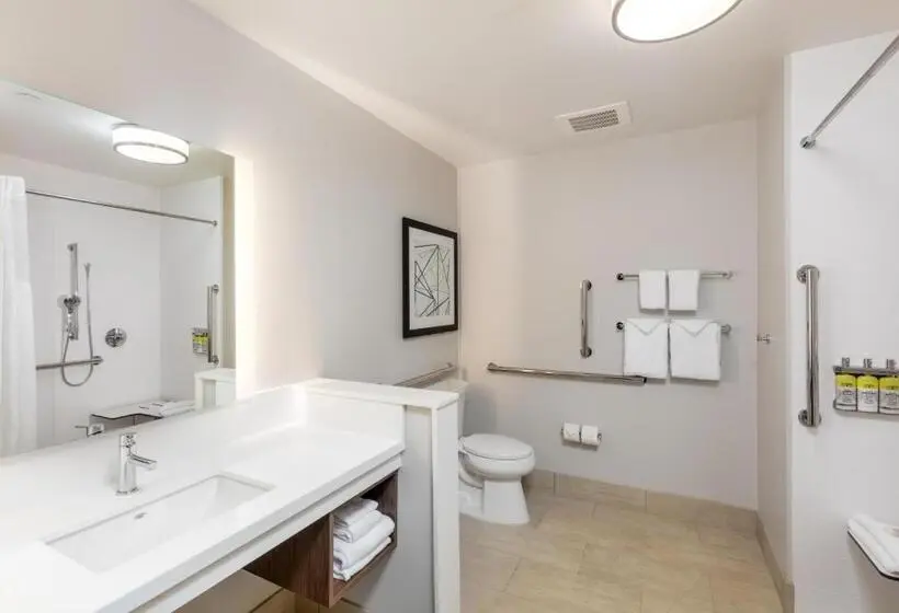 身障者適用キングサイズベッドルーム, Holiday Inn Express & Suites   Moreno Valley   Riverside, An Ihg
