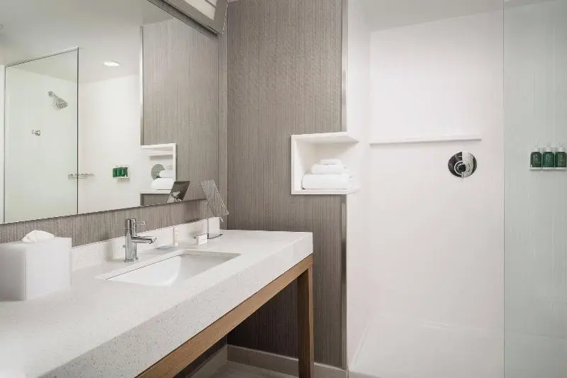 キングサイズベッドのスタンダードルーム, Courtyard By Marriott Las Cruces At Nmsu