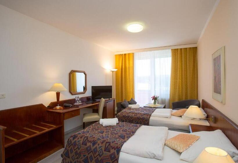 غرفة قياسية, Fontána Lipno