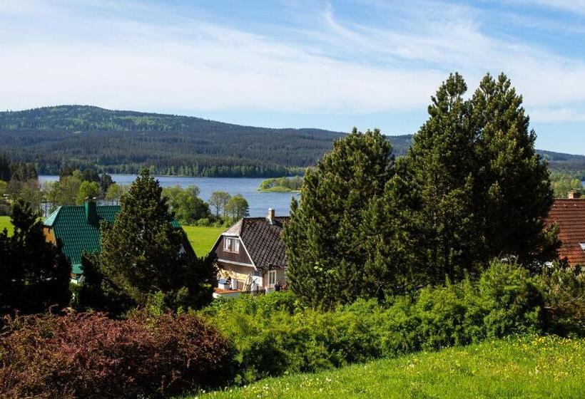 غرفة قياسية, Fontána Lipno