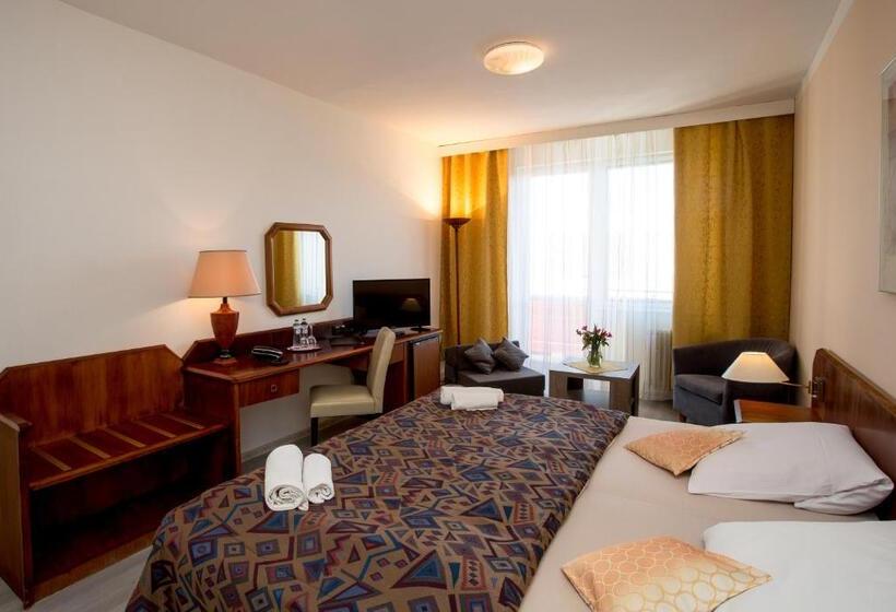 غرفة قياسية, Fontána Lipno