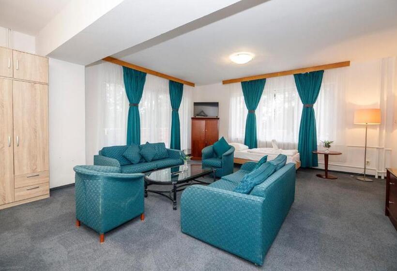 جناح مزود بتراس, Fontána Lipno