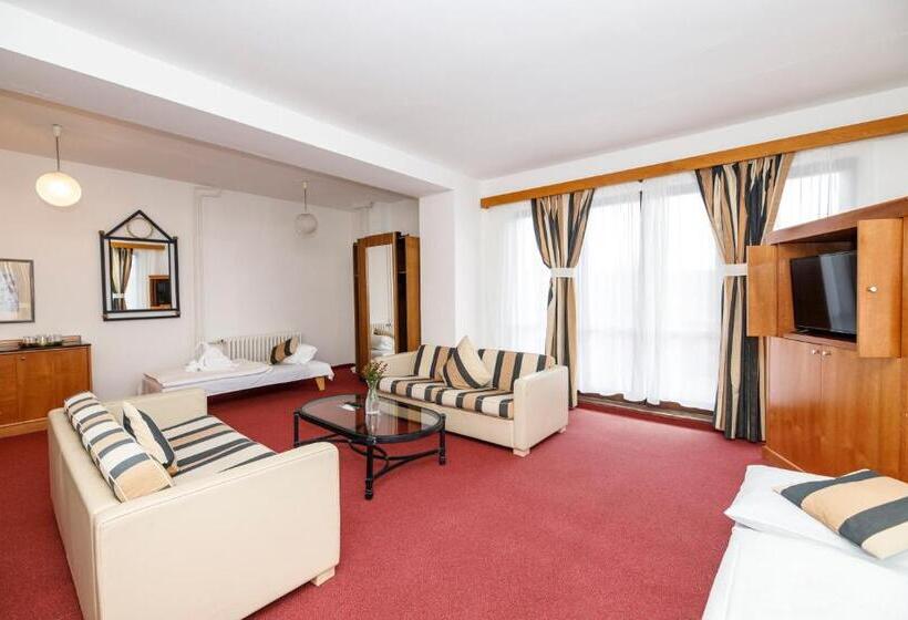 جناح مزود بتراس, Fontána Lipno