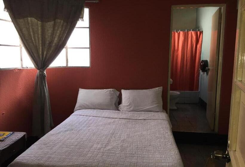 اتاق استاندارد یک نفره, Mayesstic