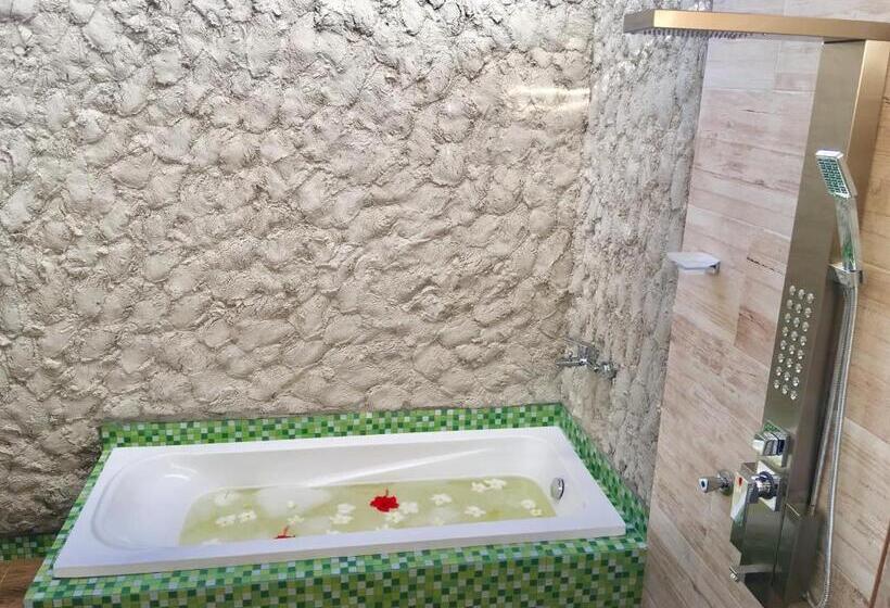 اتاق استاندارد, Dravida