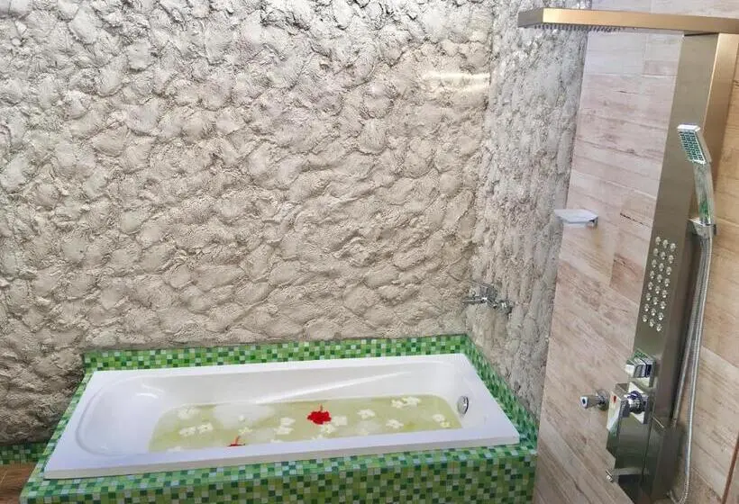 اتاق استاندارد, Dravida