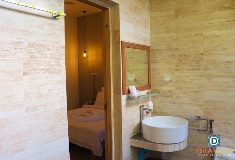 اتاق استاندارد, Dravida